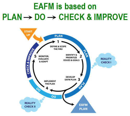 EAFM - Learn new skills